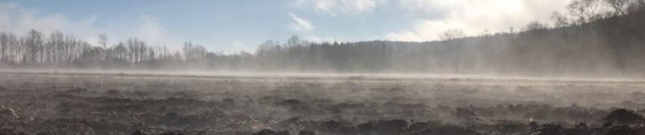 Ein Feld mit Nebel - Der Websitebanner